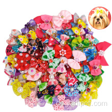 Farben Katze Hund Haustier Kopf Blumenschleife